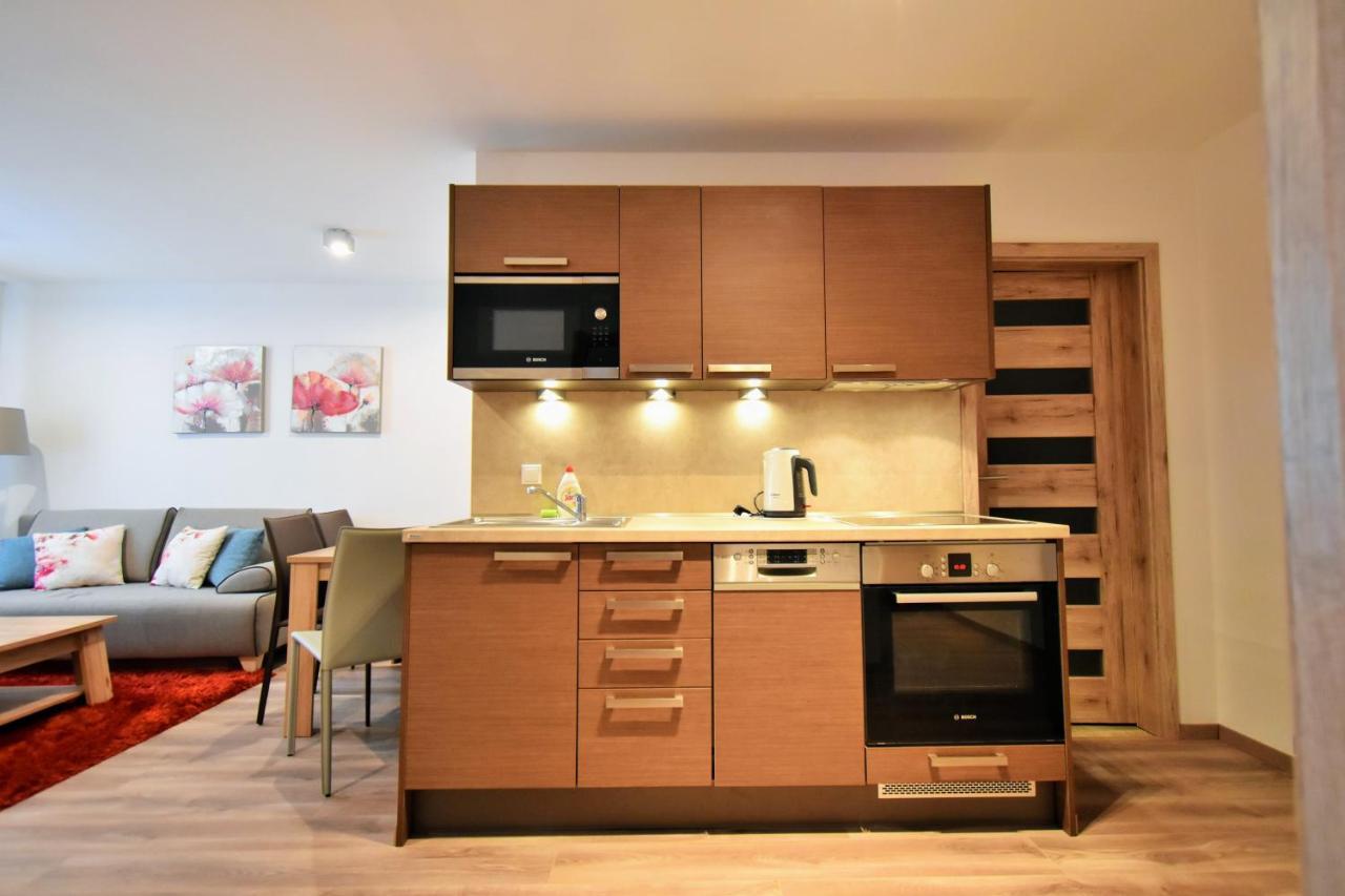 Dalibor Ii With Private Entrance And Private Garage Apartment