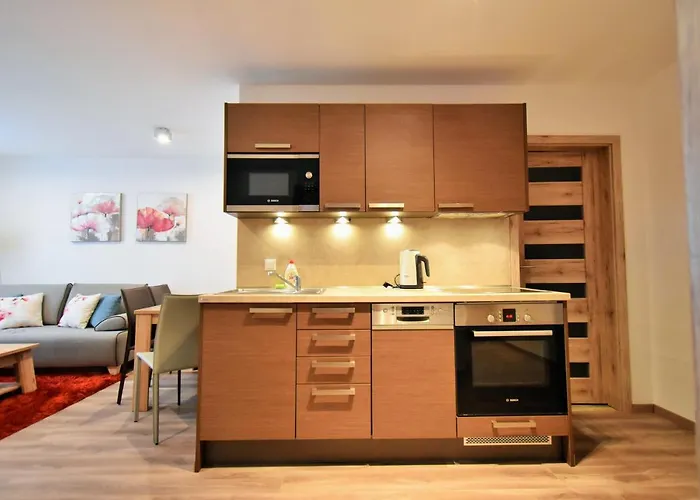 Apartment Dalibor II With Private Entrance And Private Garage